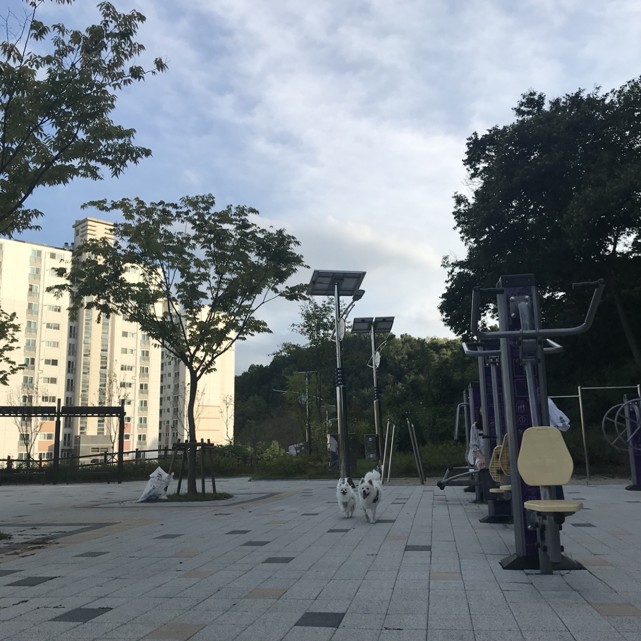 프로필
