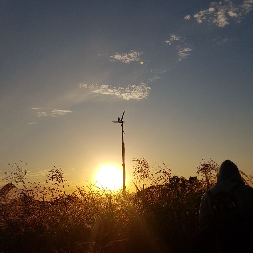 프로필