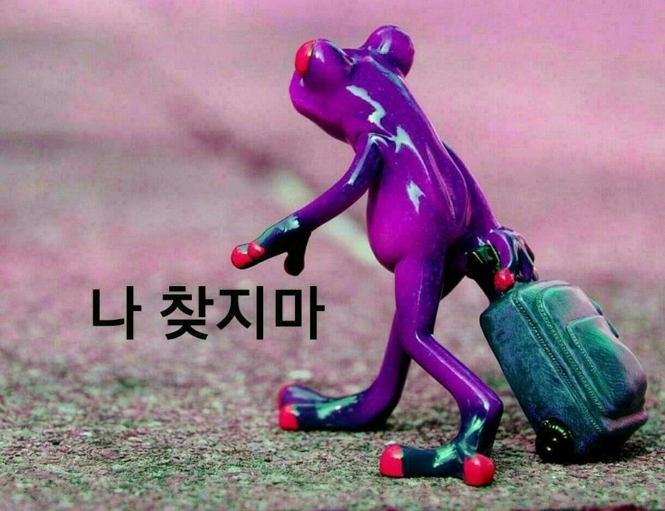 프로필