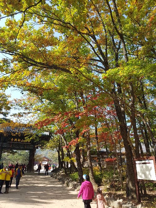 프로필