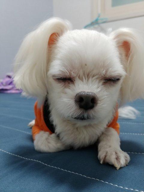 프로필