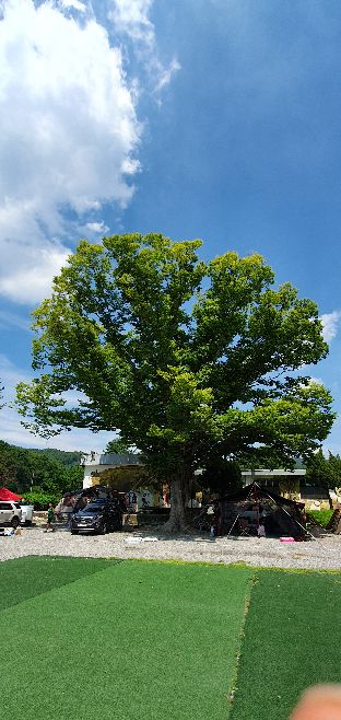 프로필