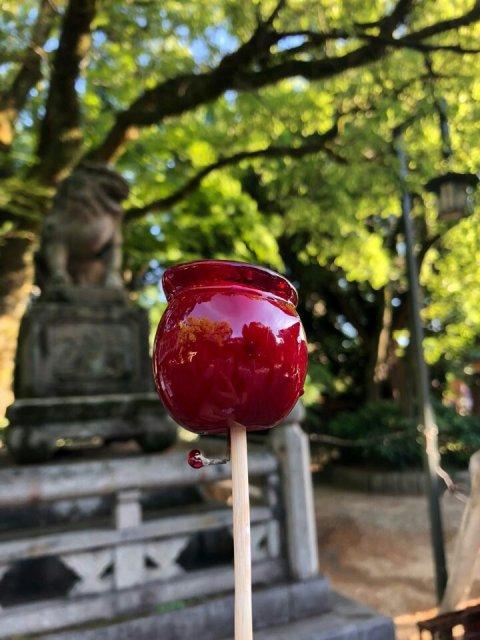 프로필