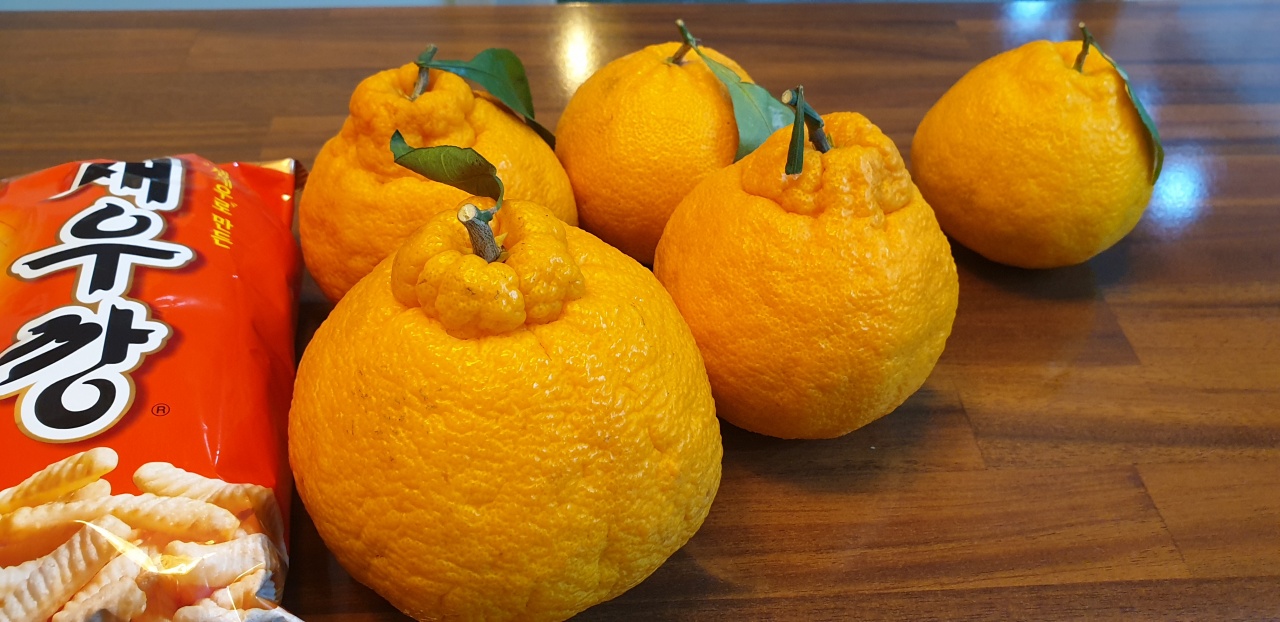 프로필