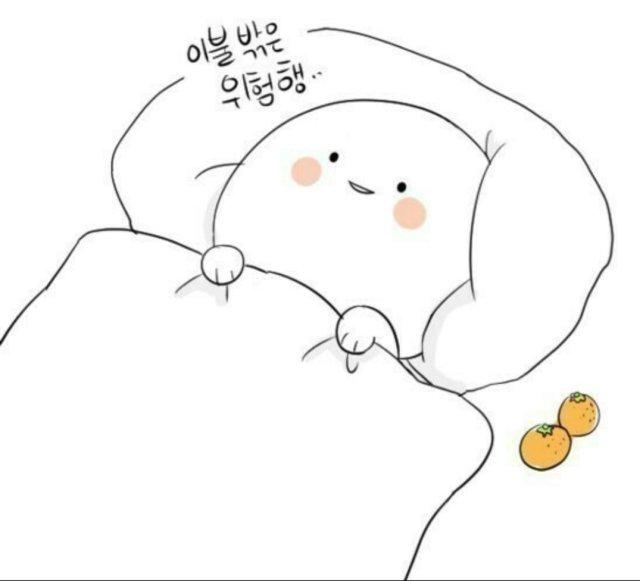 프로필