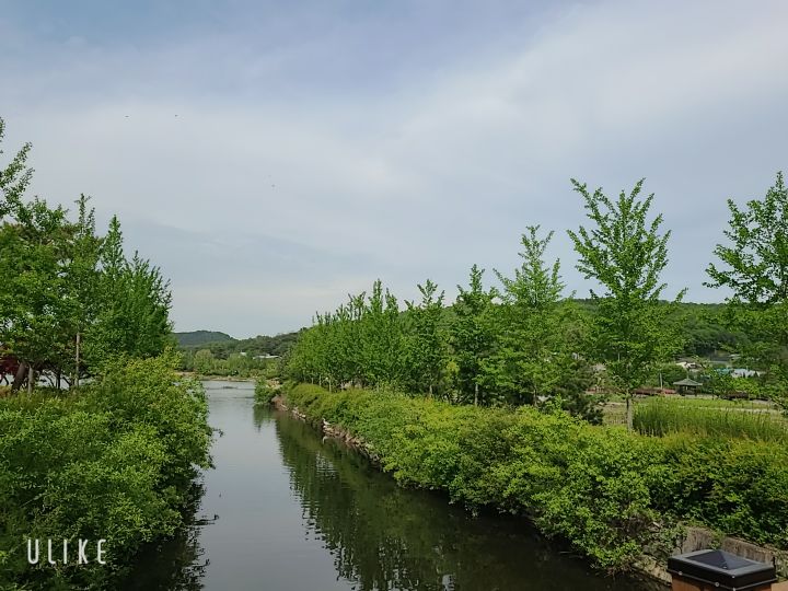 프로필