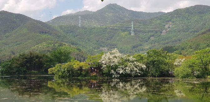 프로필