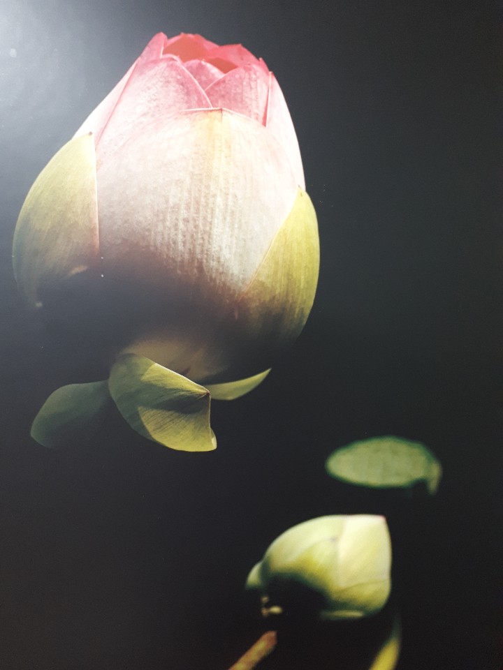 프로필