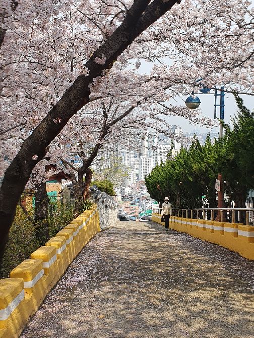 프로필