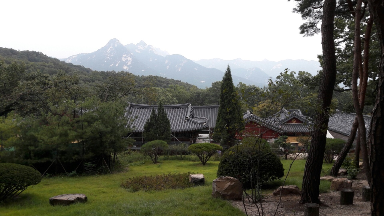 프로필