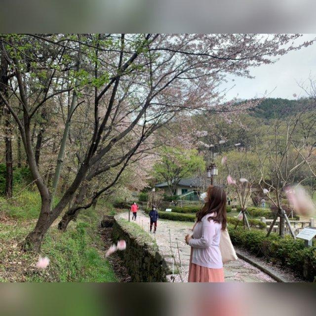 프로필