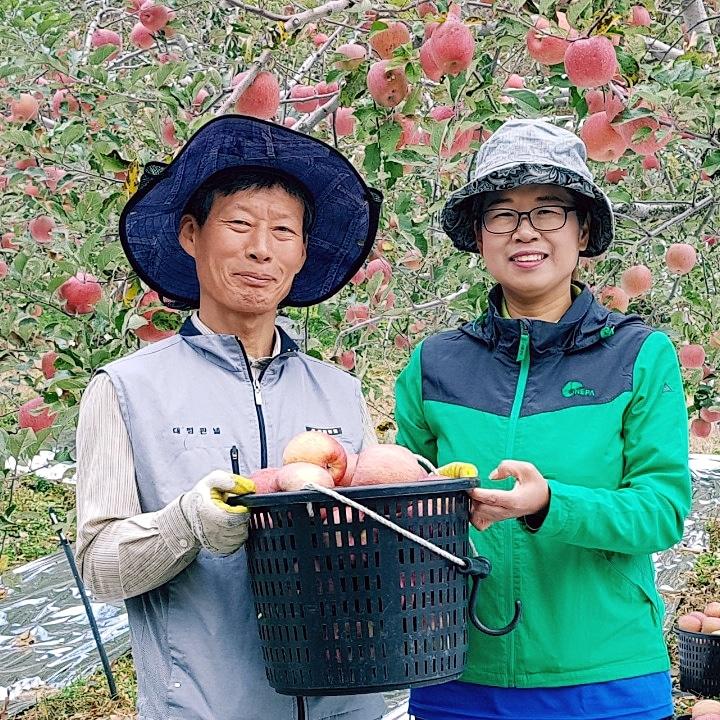 프로필