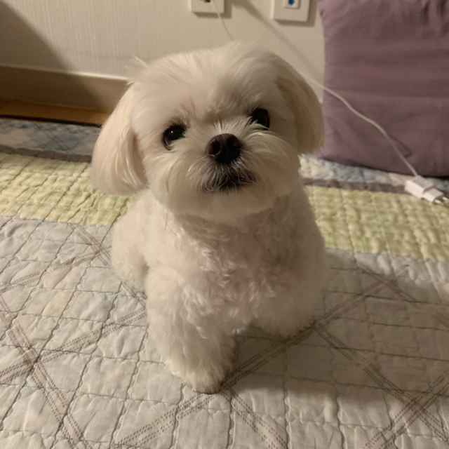 프로필