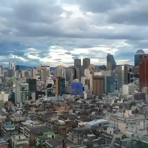프로필