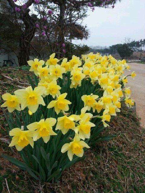 프로필