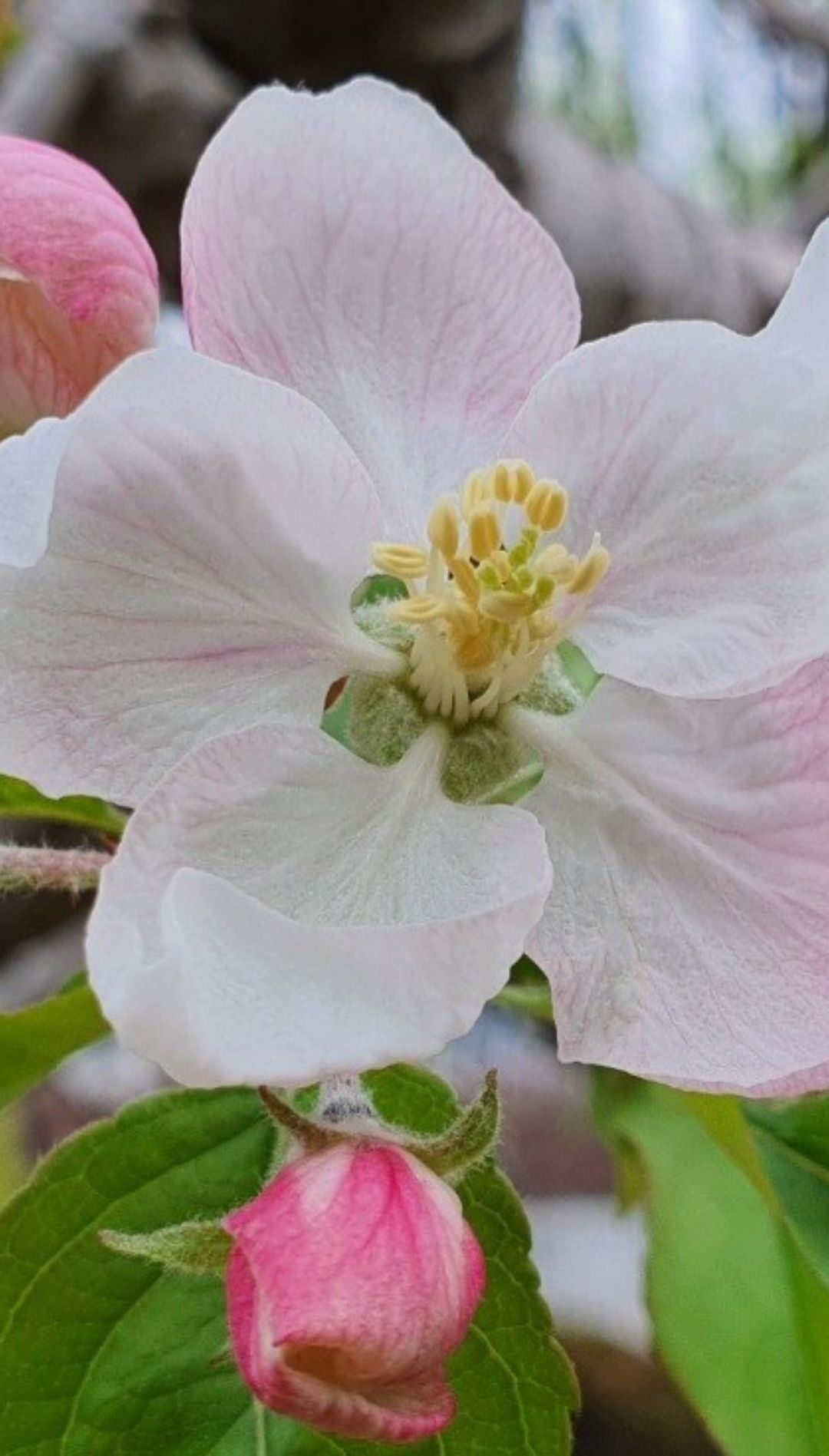 프로필