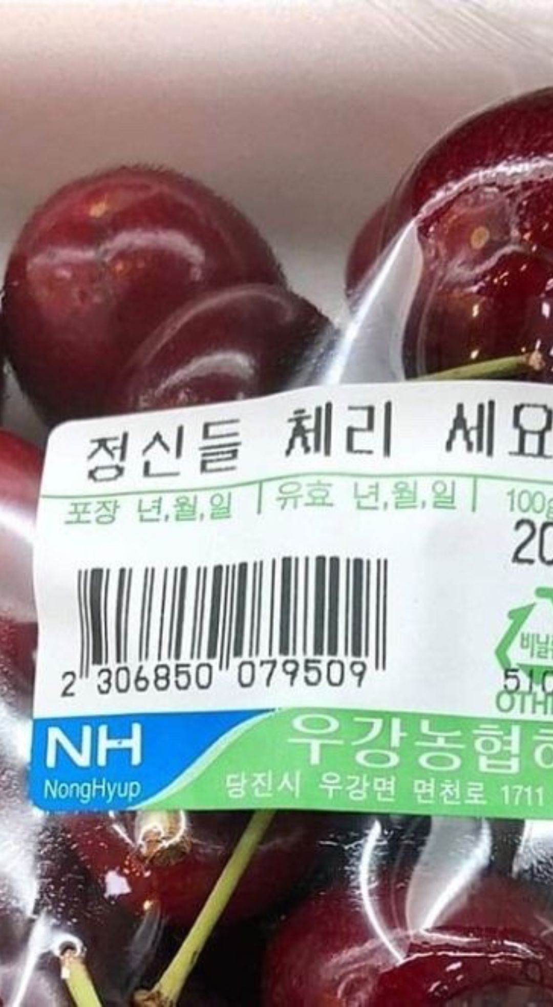 프로필