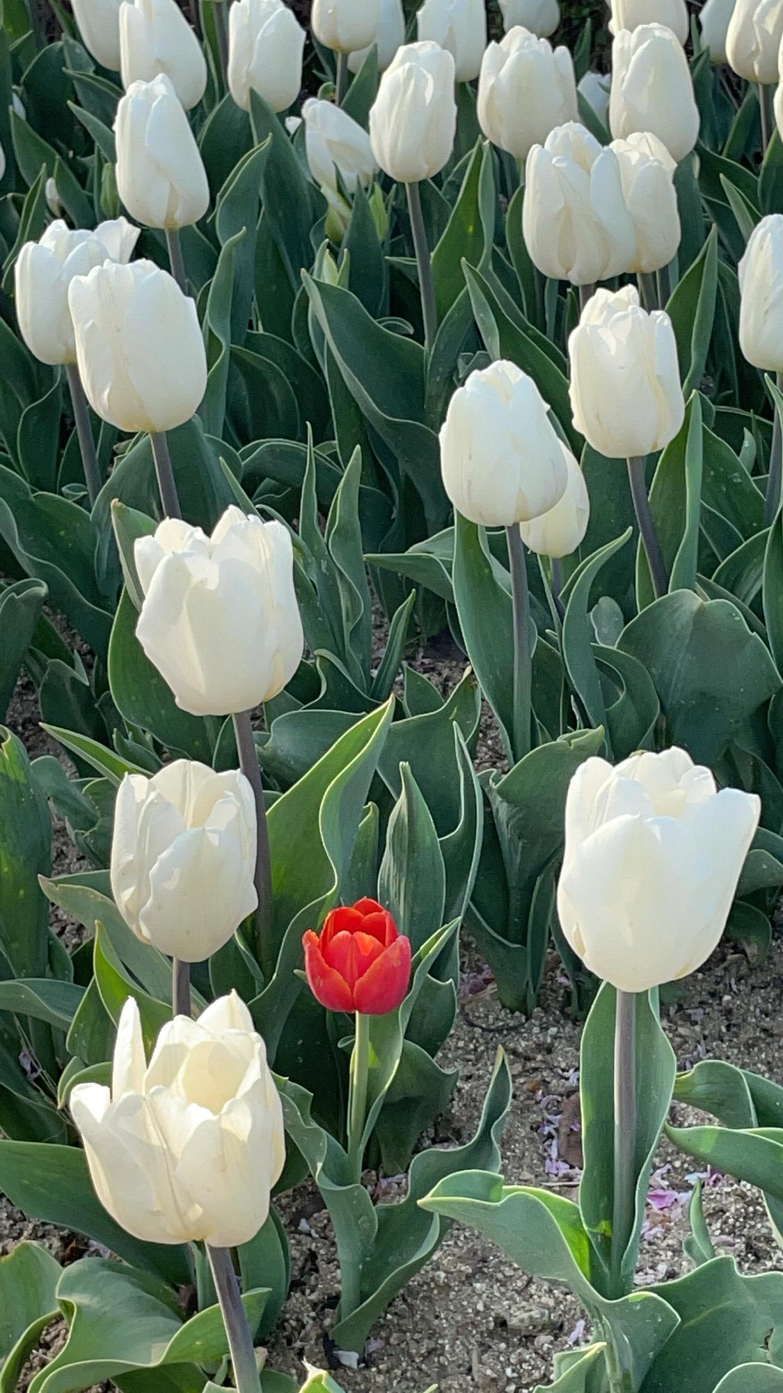 프로필