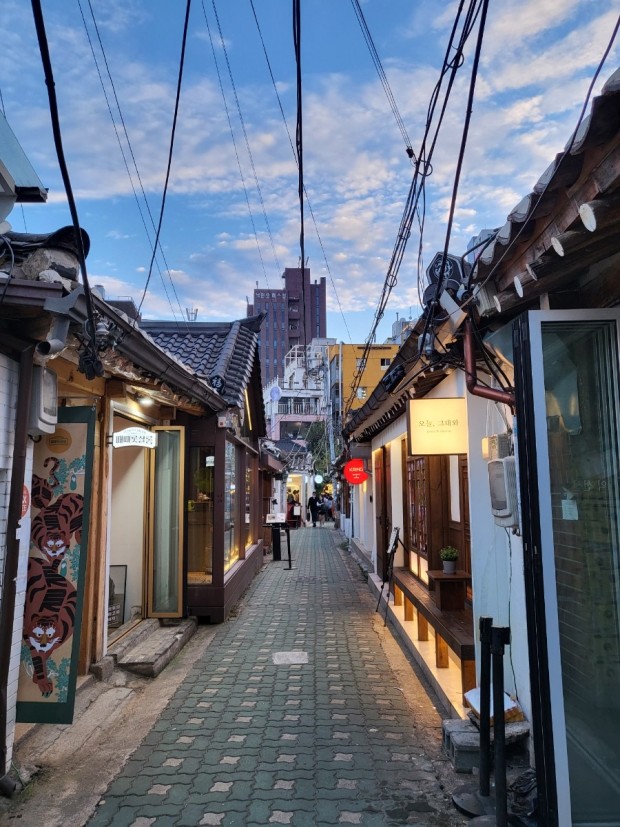 프로필