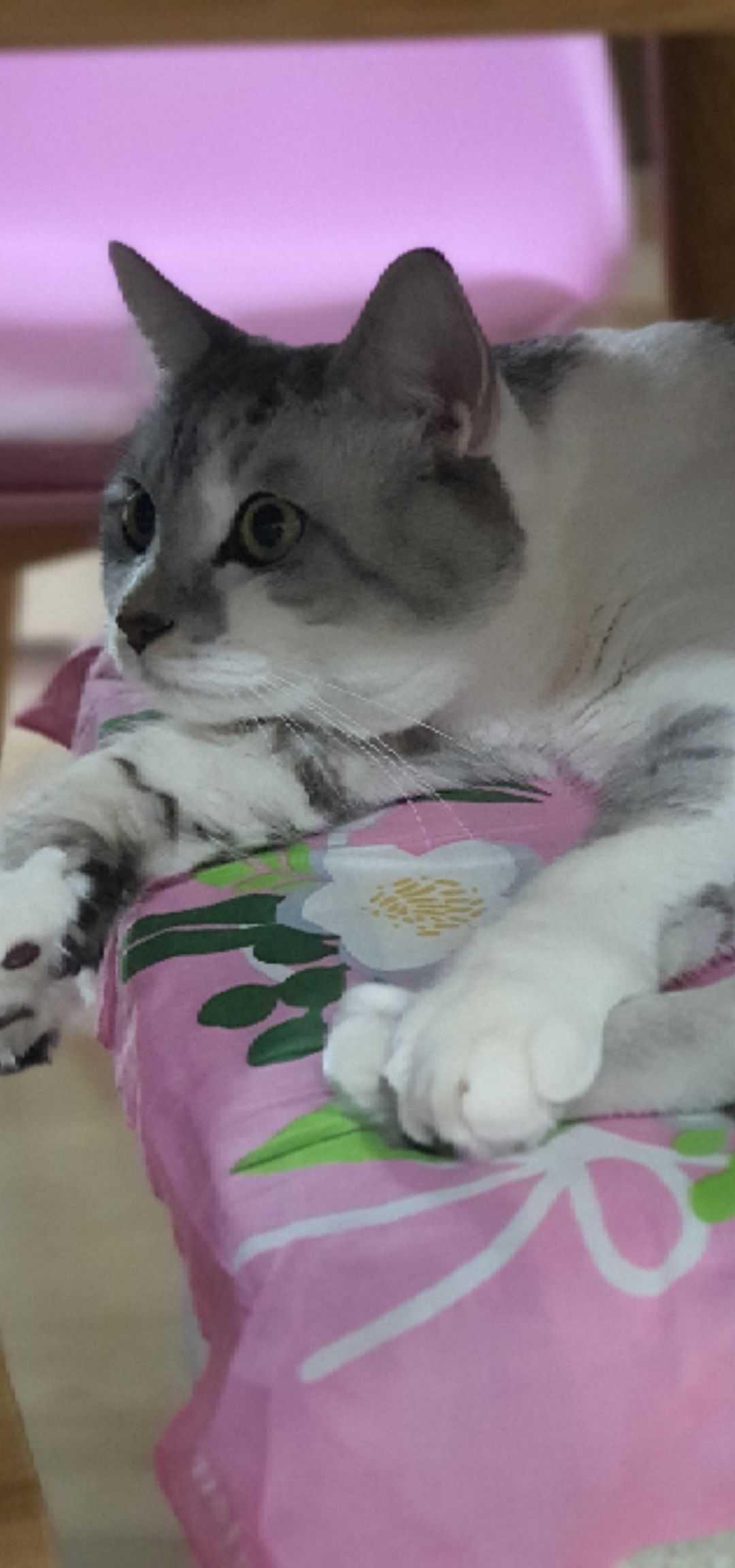 프로필