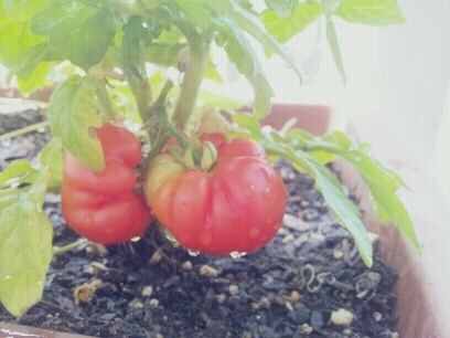 프로필